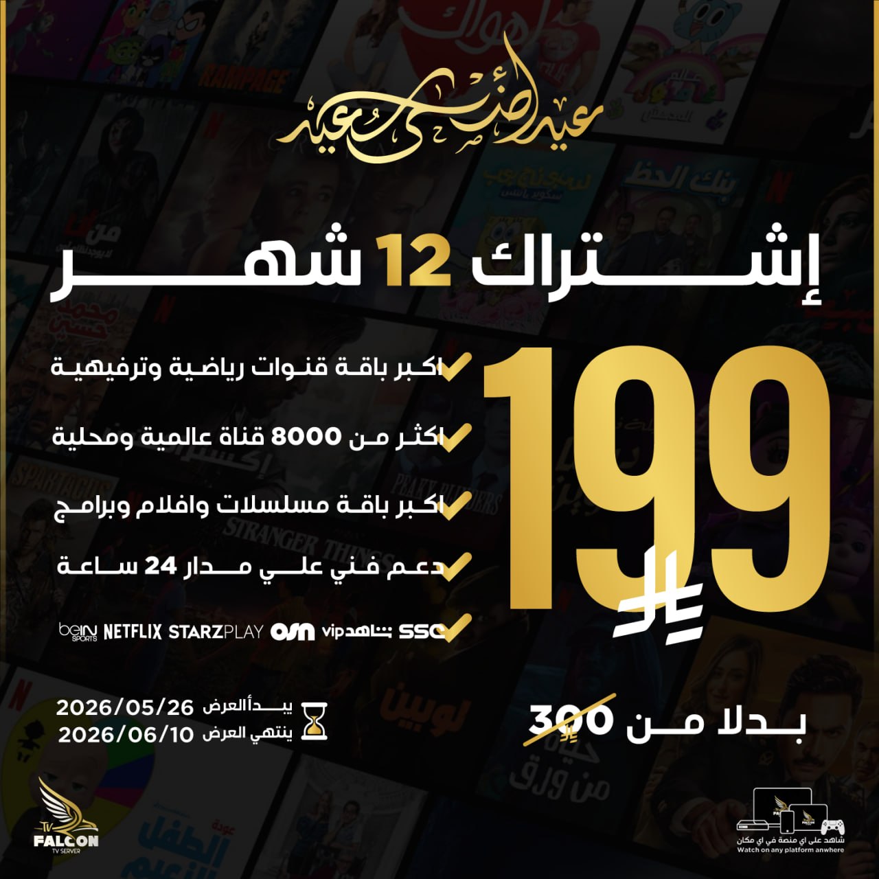 اشتراك فالكون سنة